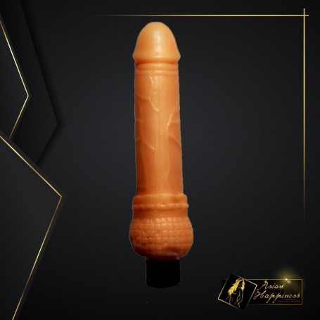 Mr. Dong Realistic Vibrator RSV-017