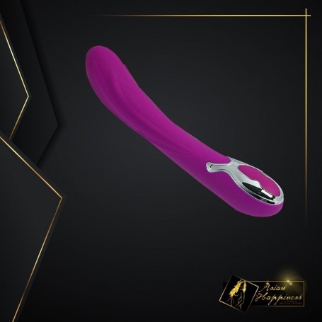 Pretty Love Wonder Rechargeable Waterproof Vibrator LXV-023
