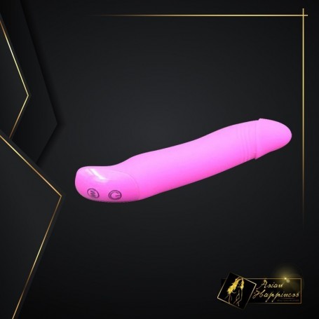 Vigny Wei Nike Rabbit Vibrator RV-022