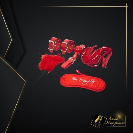BDSM SEX KIT Bracelet+Whip+Goggles+Feather+Mouth Ball Gag BDSM-001