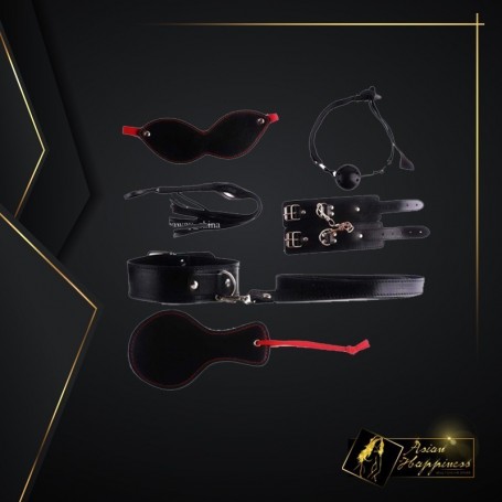 Passion Flirting BDSM KIT V2 BDSM-008