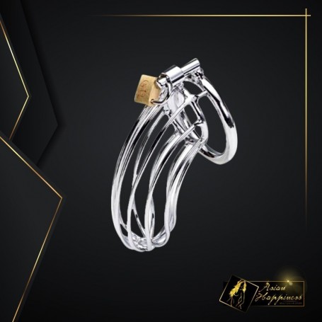 Stainless Steel Iron Wire Male Chastity Lock BDSM-016