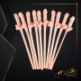 Pack of Ten Willy Straws Blow me KP-001