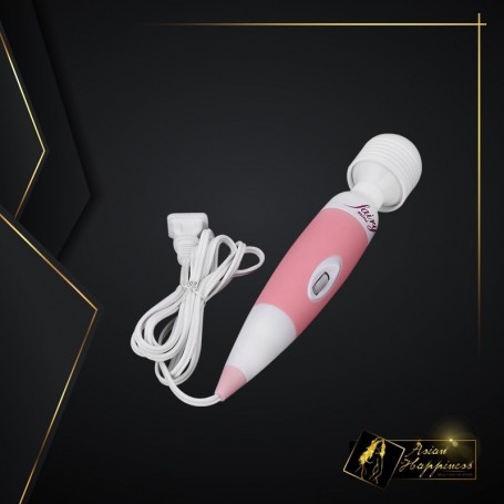 Powerful Multispeed Fairy Female Personal Wand Massager VM-009