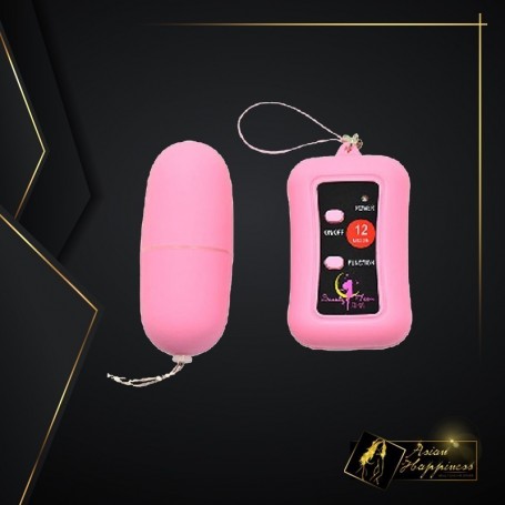 Remote Control Vibrating Egg BV-003