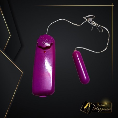 Personal Vibration Jump Egg Vibrating Bullet Massager BV-030