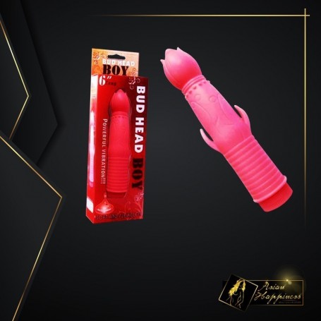 Bud Head Boy Fun Vibrator FV-001