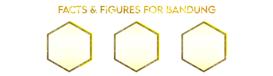 Bandung--facts-&-figure.png